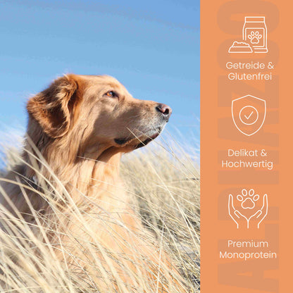 Monoprotein Rind Nassfutter für Hunde