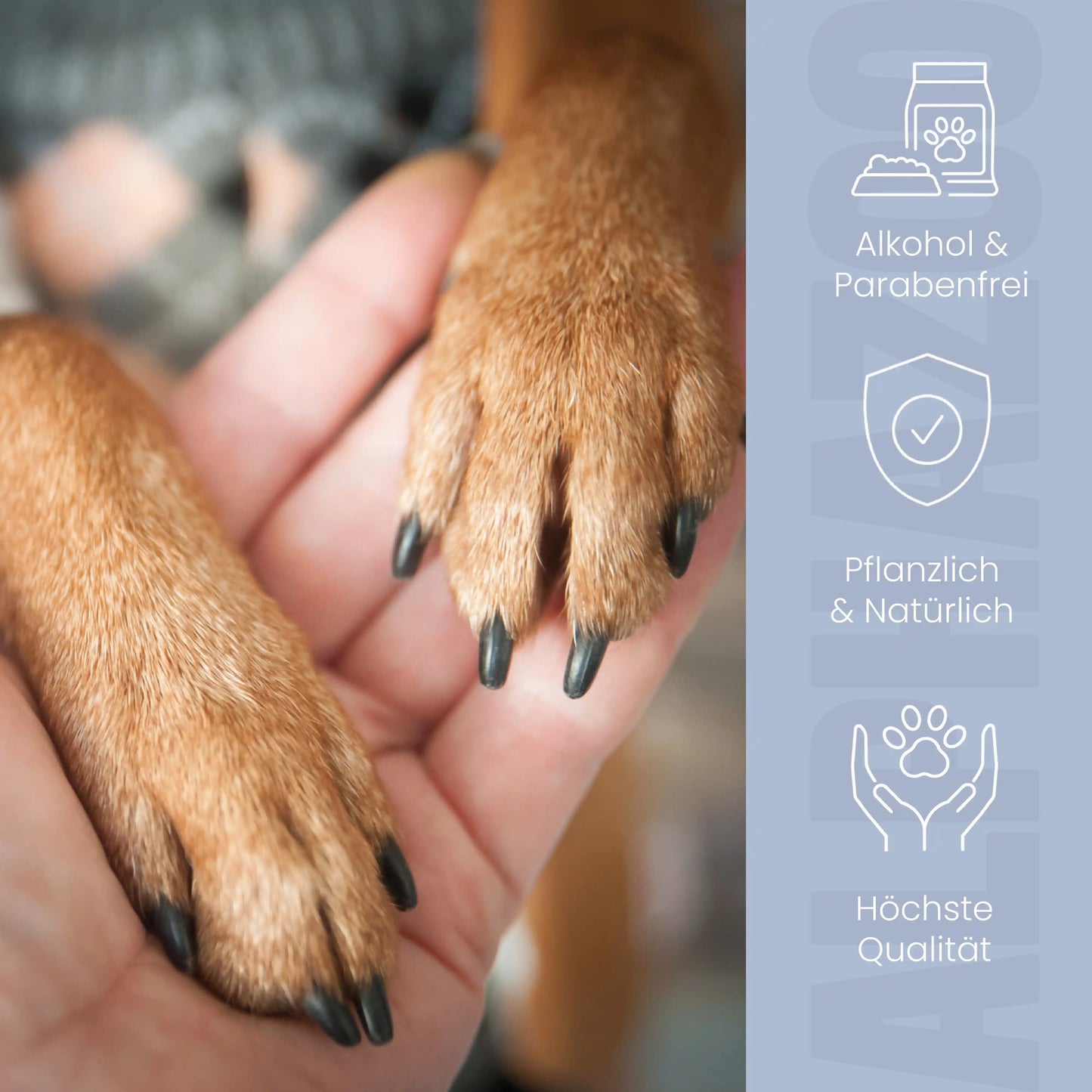 Pawtable Pfotenpflege für Hunde