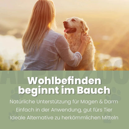 Darmonie Liquid für Hunde