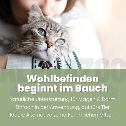 Darmonie Liquid für Katzen