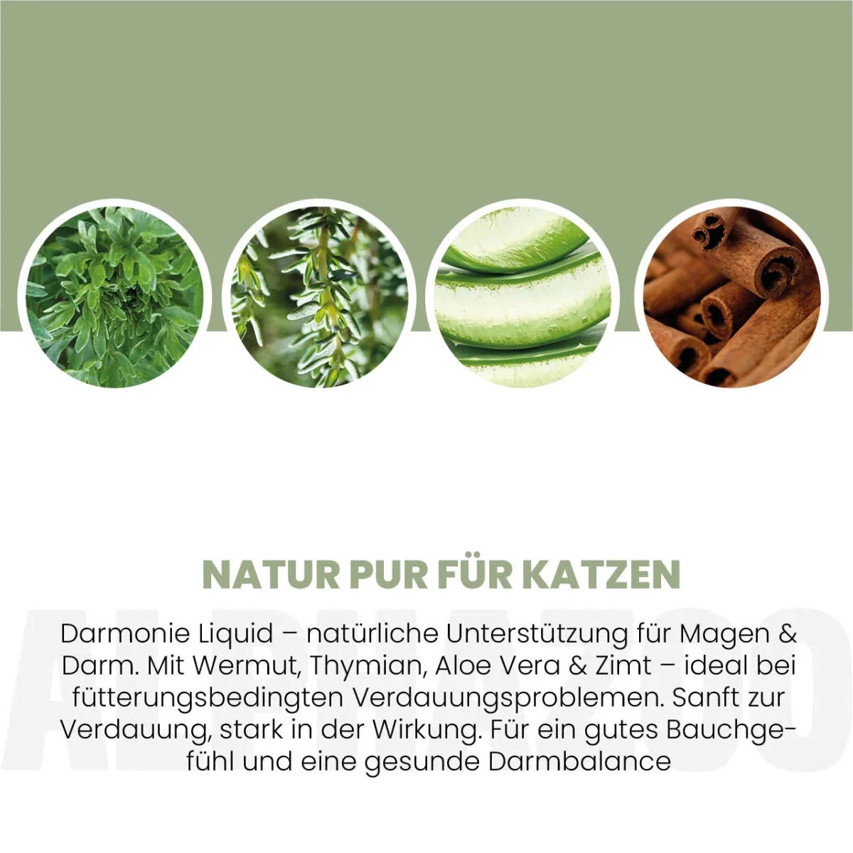 Darmonie Liquid für Katzen