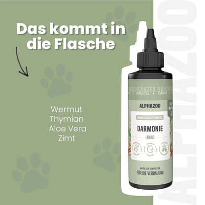 Darmonie Liquid für Katzen