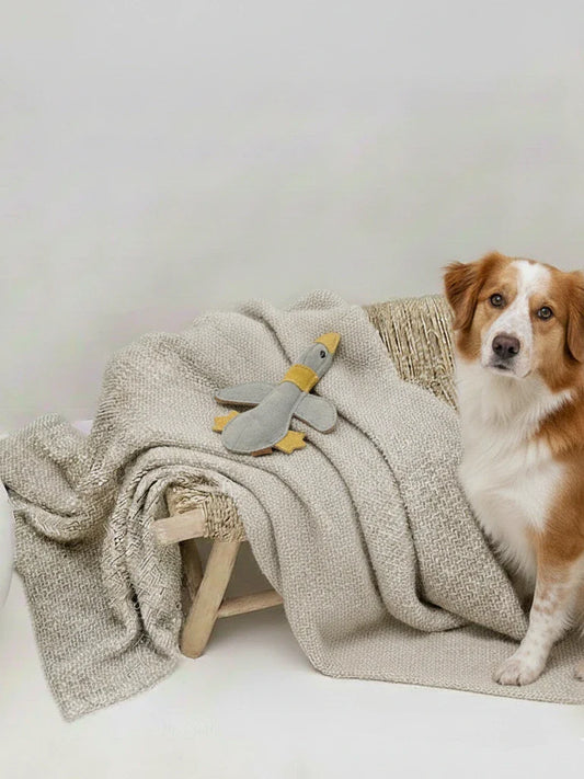 BUDDY. Hundespielzeug aus Leder "Große Ente"