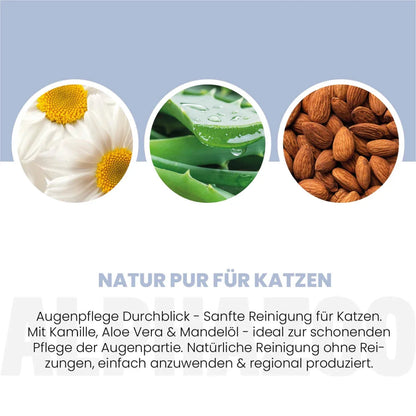 Durchblick Augenpflege für Katzen