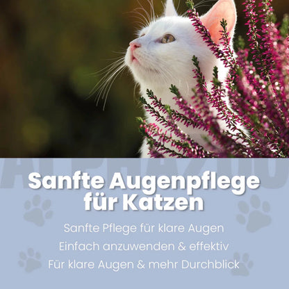 Durchblick Augenpflege für Katzen