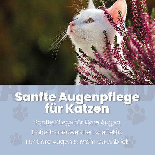 Durchblick Augenpflege für Katzen