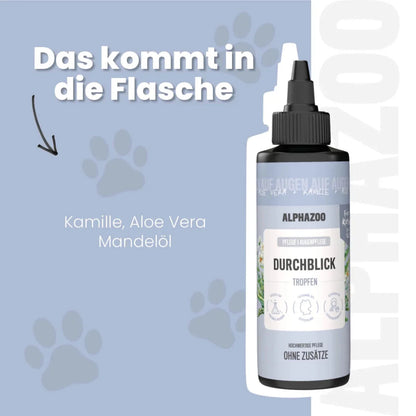 Durchblick Augenpflege für Katzen