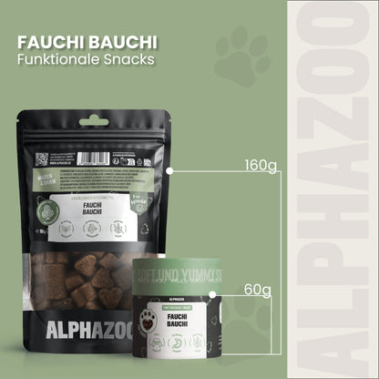 Fauchi Bauchi