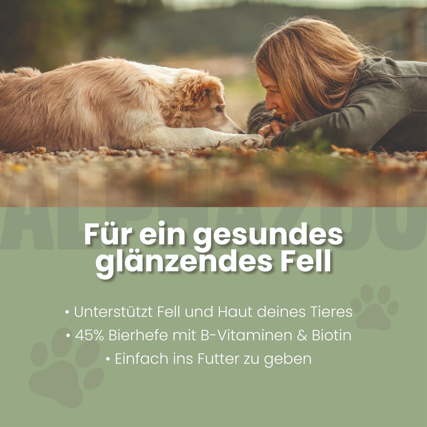 Bierhefe Tabletten für Hunde