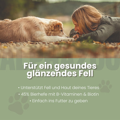 Bierhefe Tabletten für Hunde