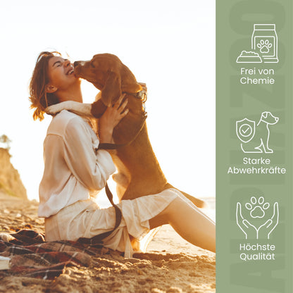 Bierhefe Tabletten für Hunde