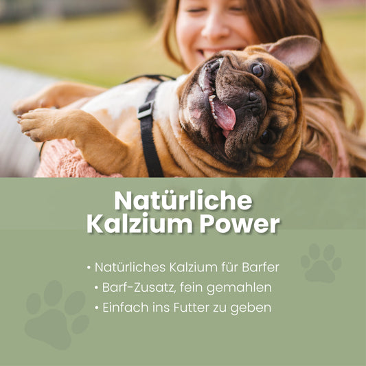 Eierschalenpulver für Hunde