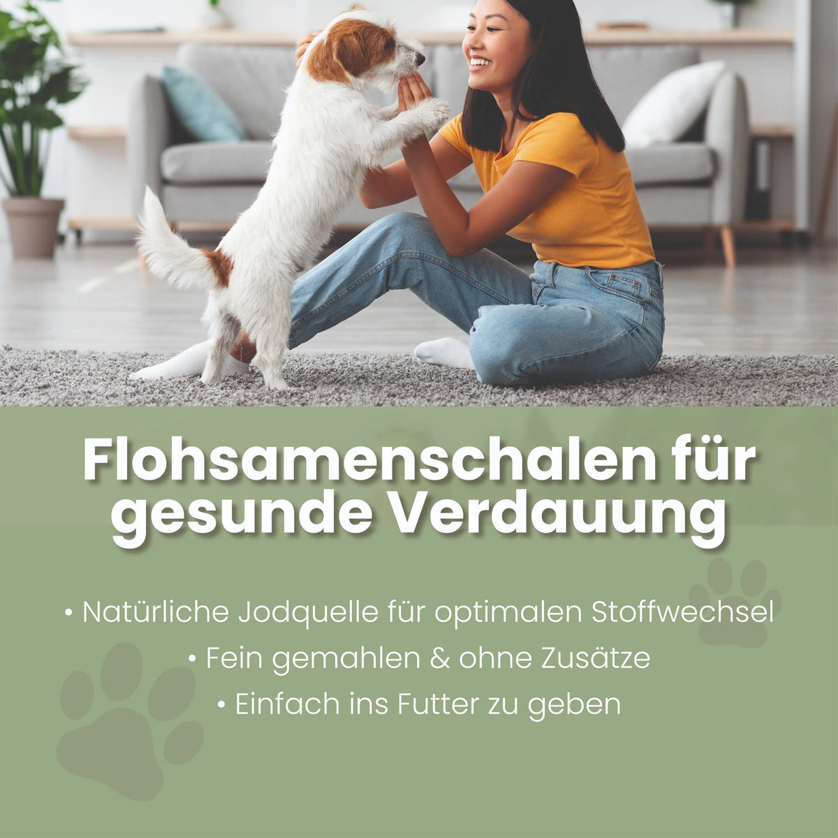 Flohsamenschalen gemahlen für Hunde