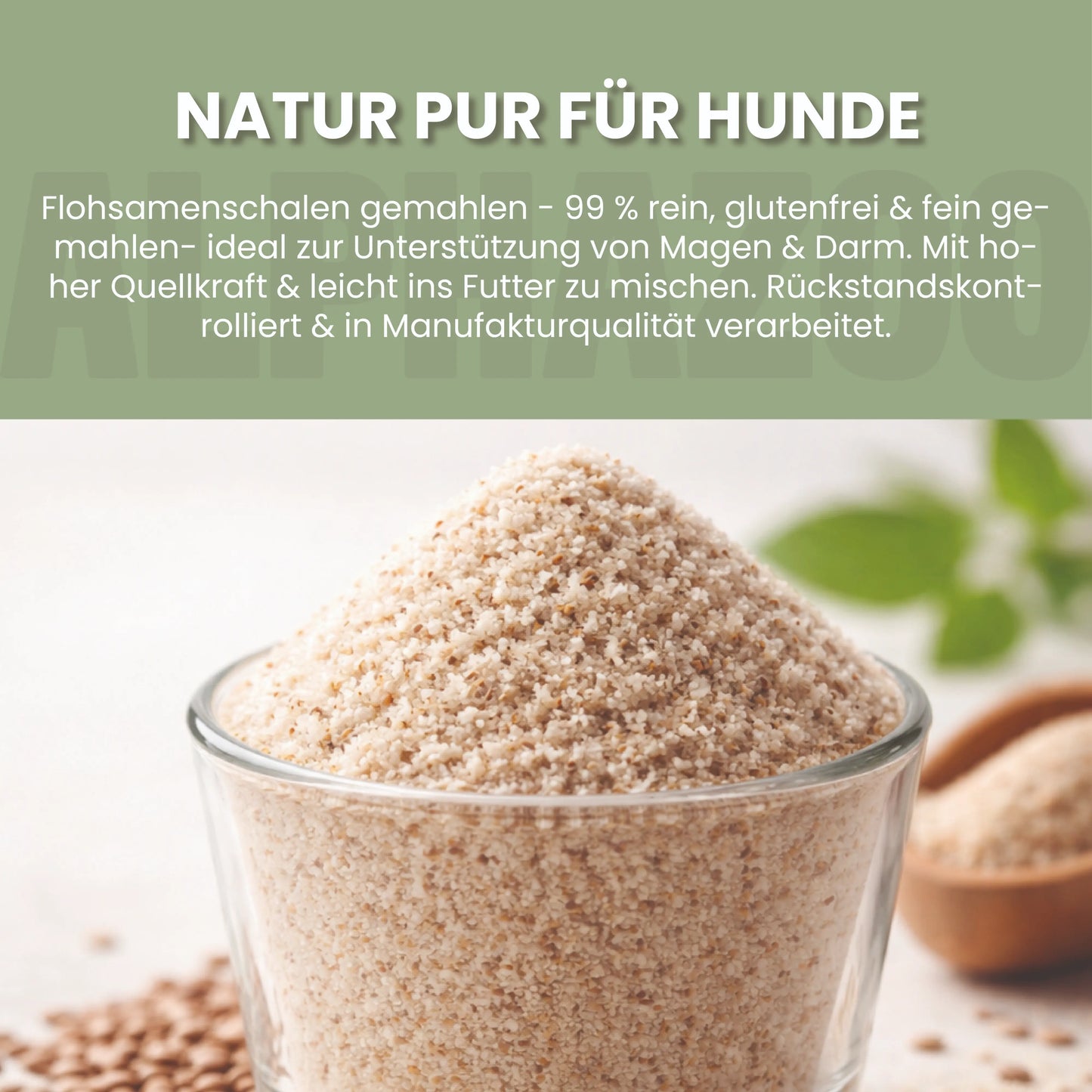 Flohsamenschalen gemahlen für Hunde