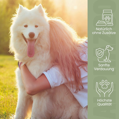 Flohsamenschalen gemahlen für Hunde