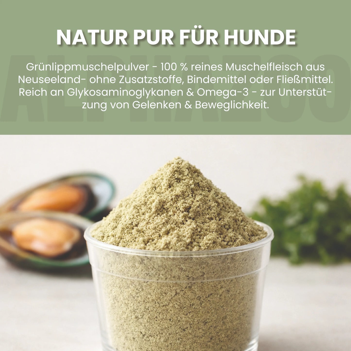 Grünlippmuschel-Pulver für Hunde