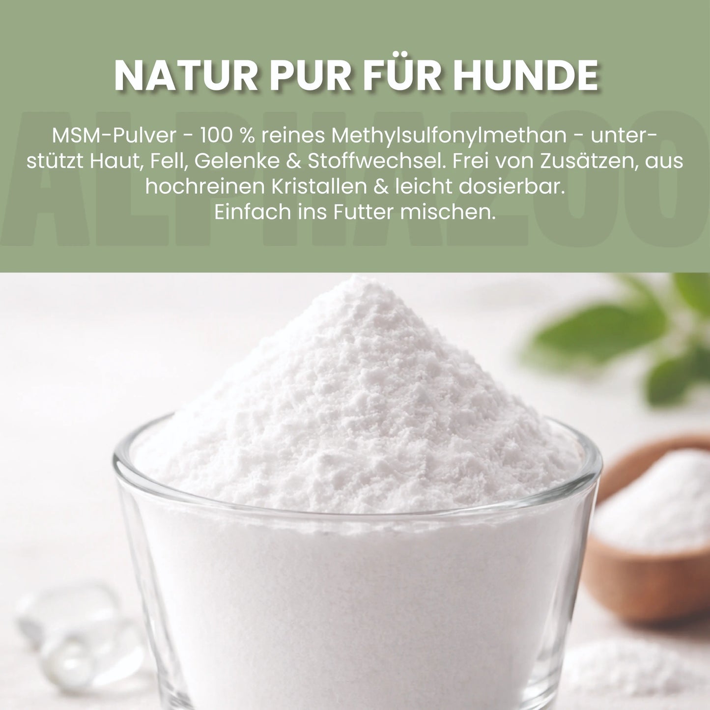 MSM Pulver für Hunde