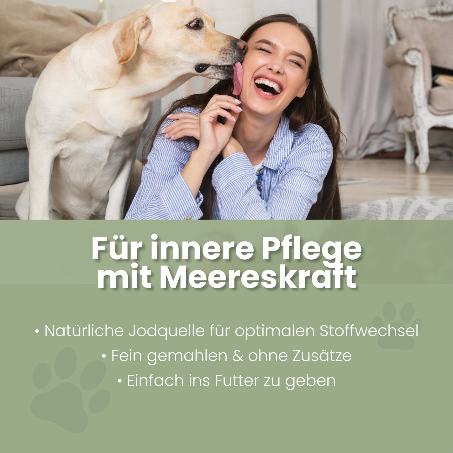 Seealgenmehl