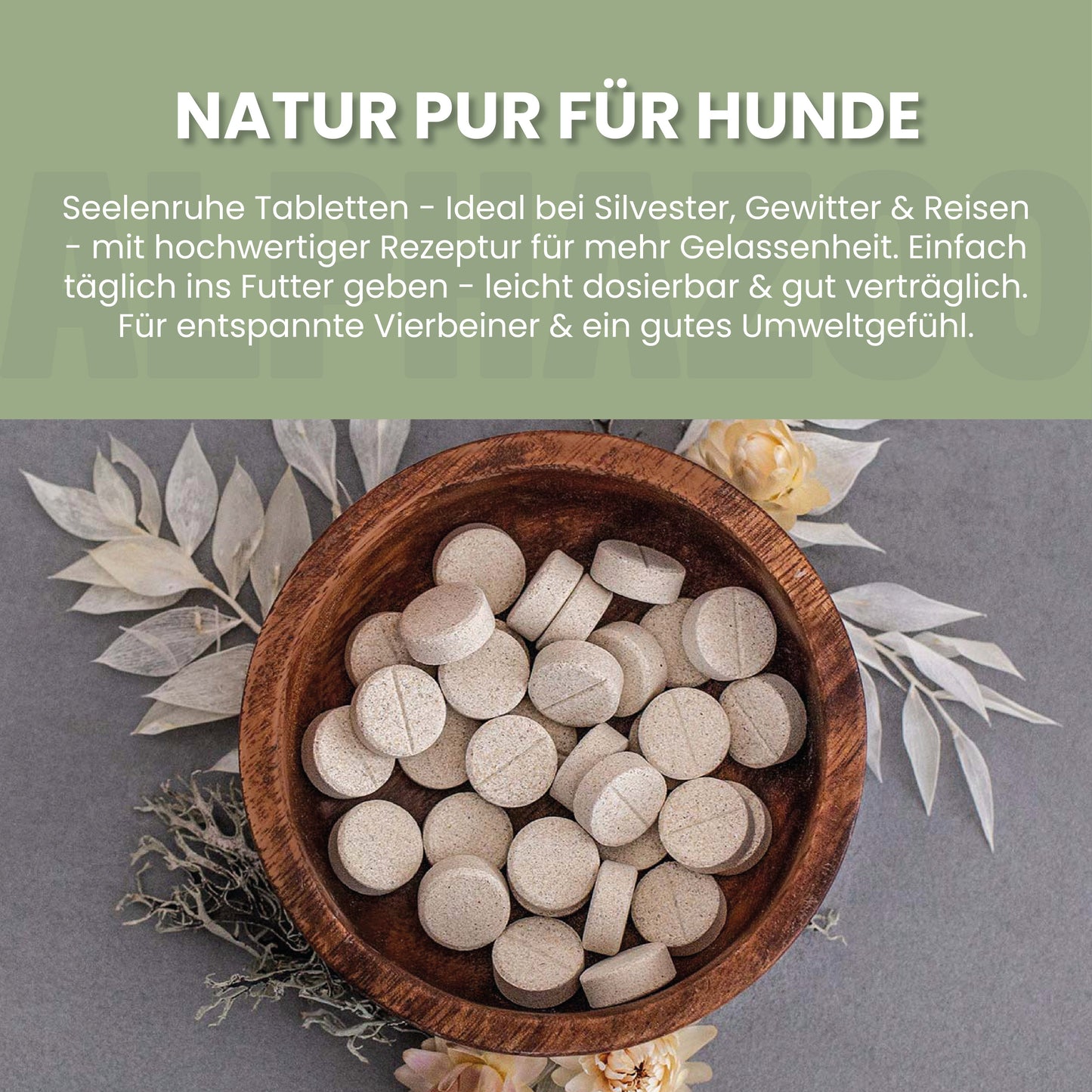 Seelenruhe Tabletten für Hunde