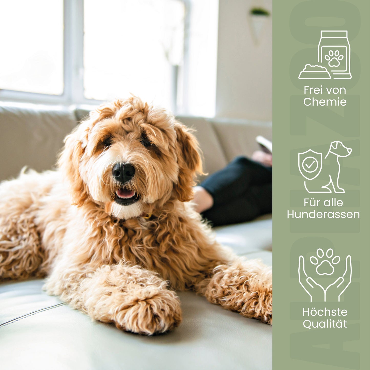 Seelenruhe Tabletten für Hunde