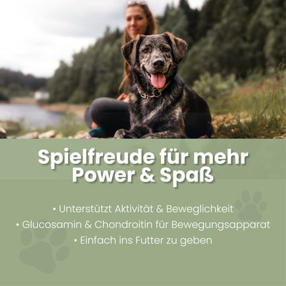 Spielfreude Tabletten
