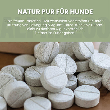 Spielfreude Tabletten