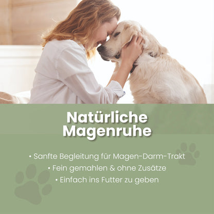 Ulmenrinde Pulver für Hunde