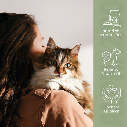 Bierhefe Pulver für Katzen