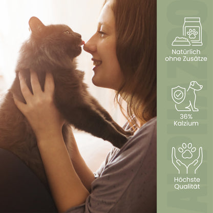 Eierschalenpulver für Katzen
