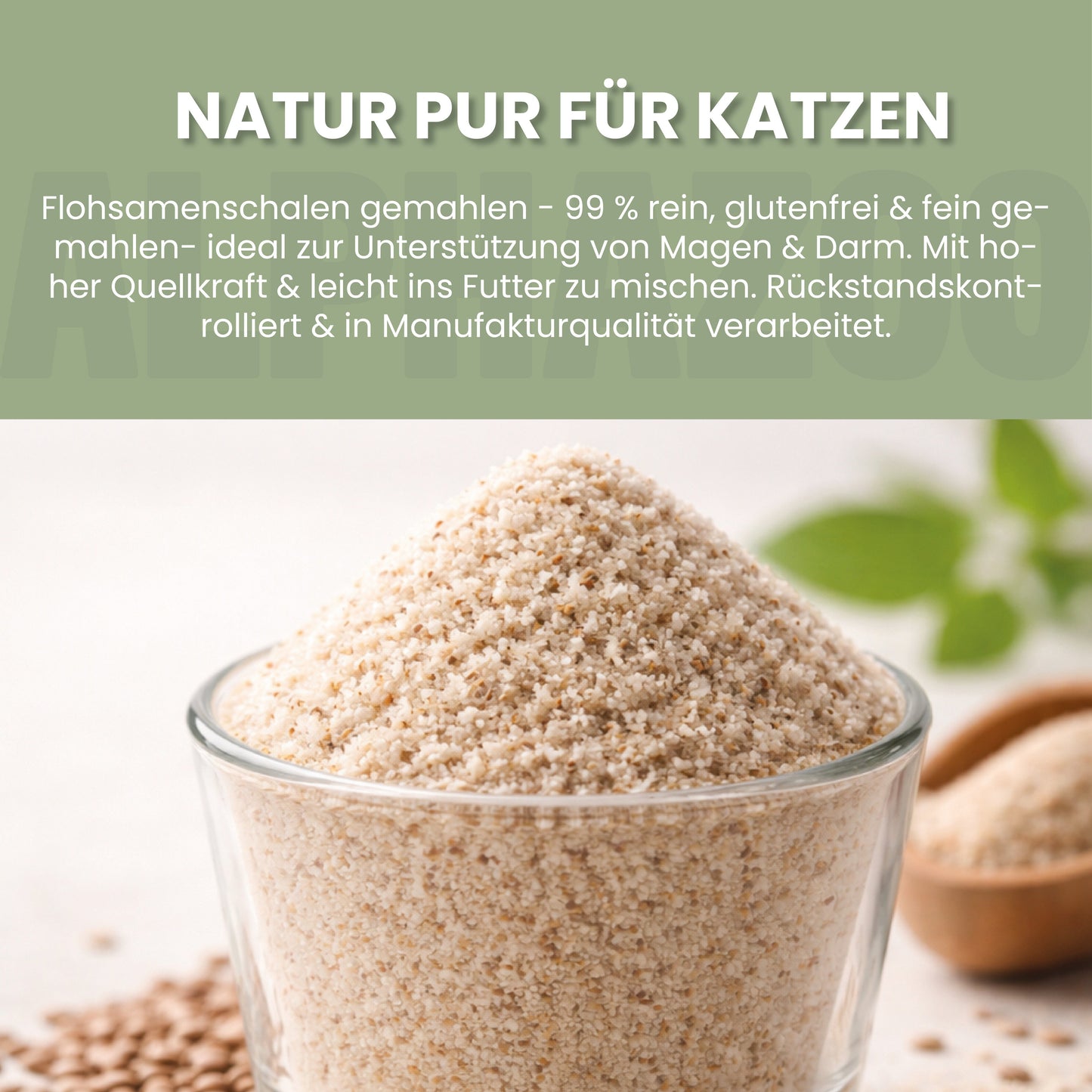 Flohsamenschalen für Katzen