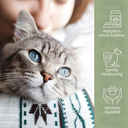 Flohsamenschalen für Katzen