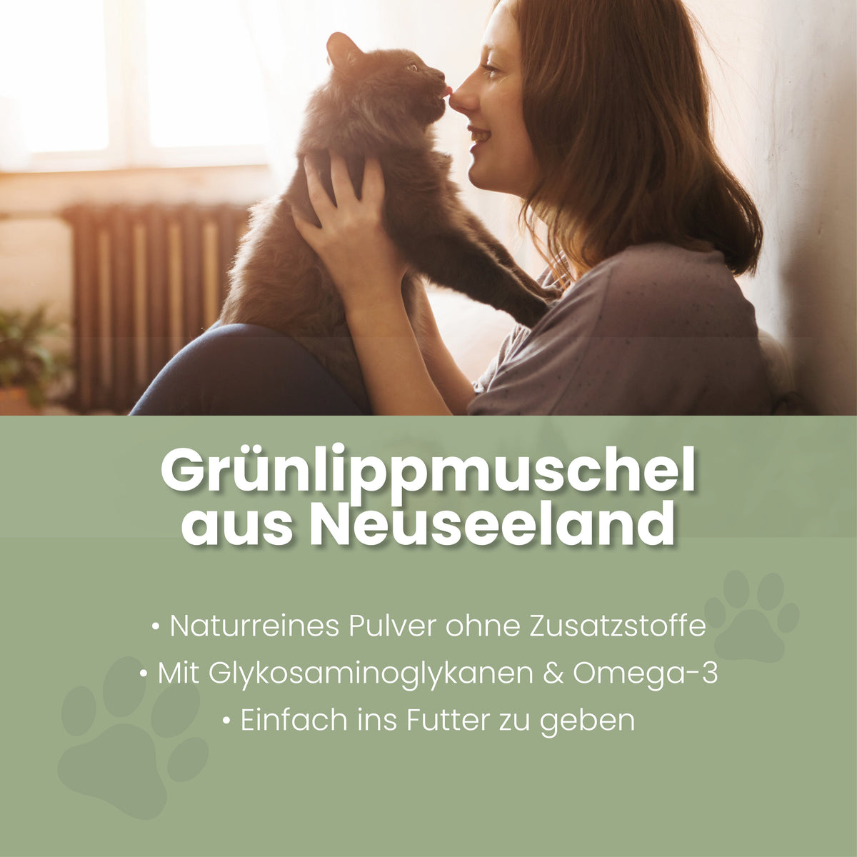 Grünlippmuschel-Pulver für Katzen