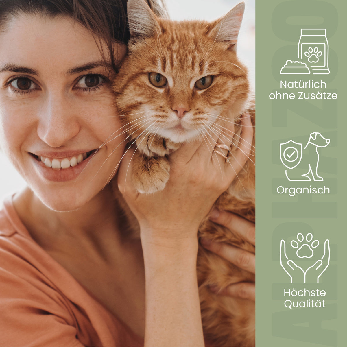 MSM Pulver für Katzen