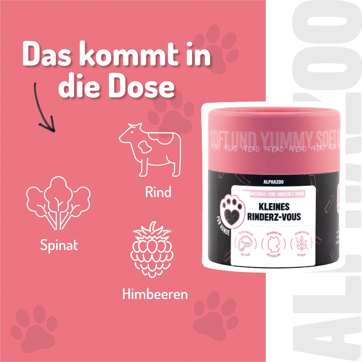 Kleines Rinderz-Vous