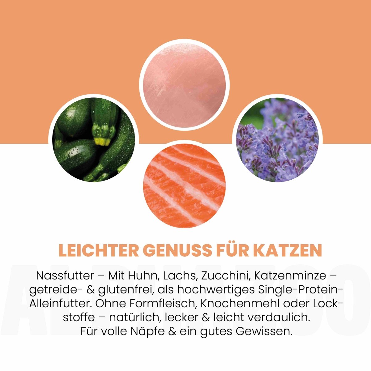 Lachs + Huhn Nassfutter für Katze
