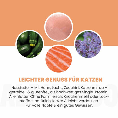 Lachs + Huhn Nassfutter für Katze