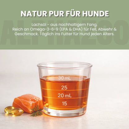 Lachsöl für Hunde