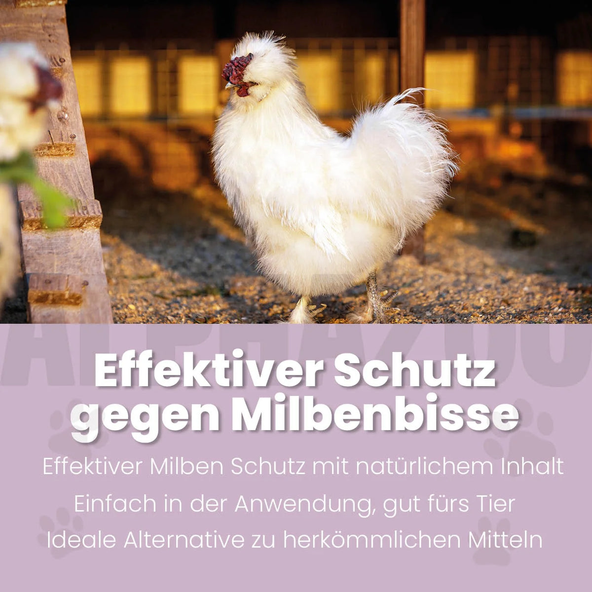 MilbHunter Milbenspray für Hühner