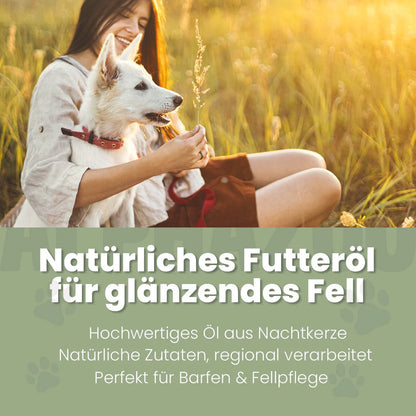 Nachtkerzenöl für Hunde
