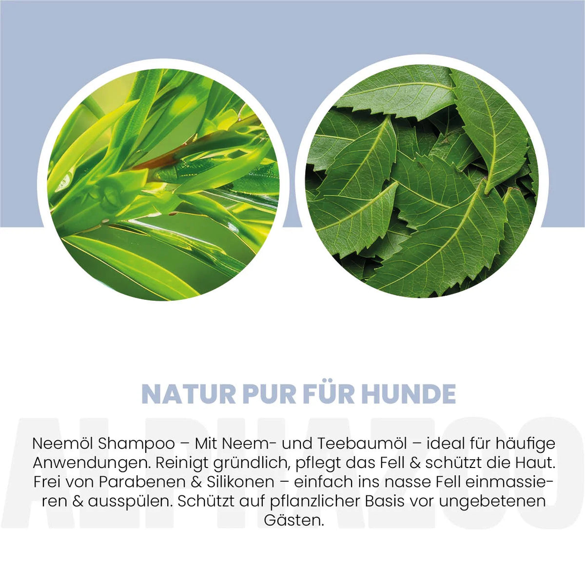 Neemöl Shampoo für Hunde