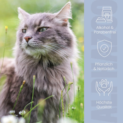 Ohrmilbenöl für Katzen