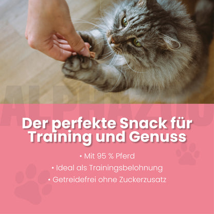 Pferdammt Lecker