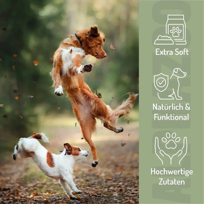 Probierset Funktion-Snacks