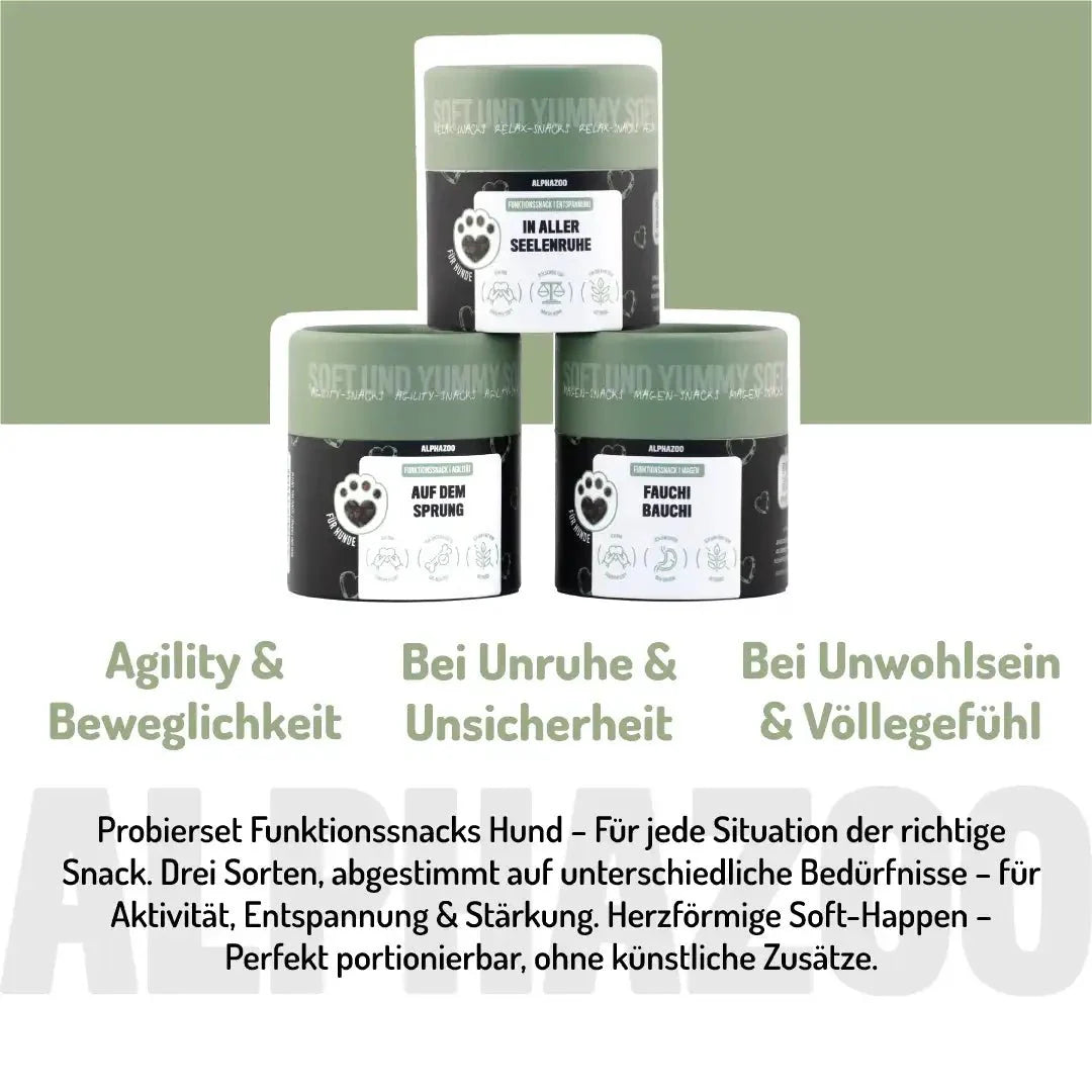 Probierset Funktion-Snacks