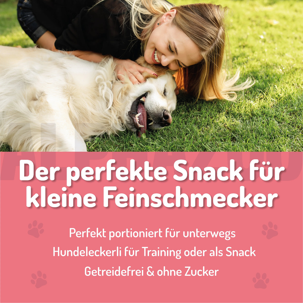 Probierset Leckerli Hund