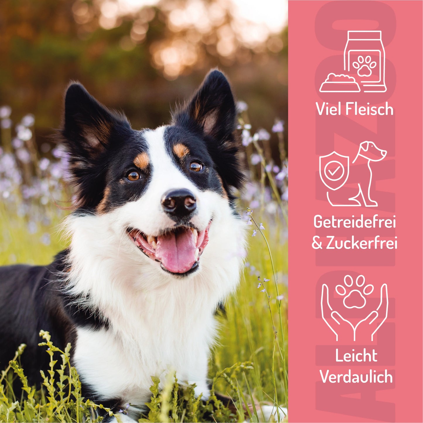 Probierset Leckerli Hund