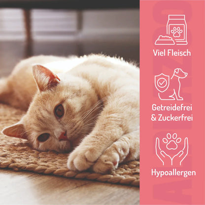Probierset Leckerli Katze