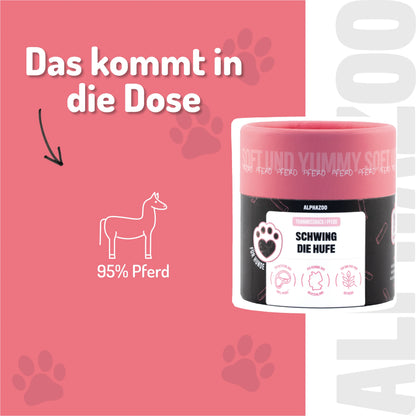Schwing Die Hufe