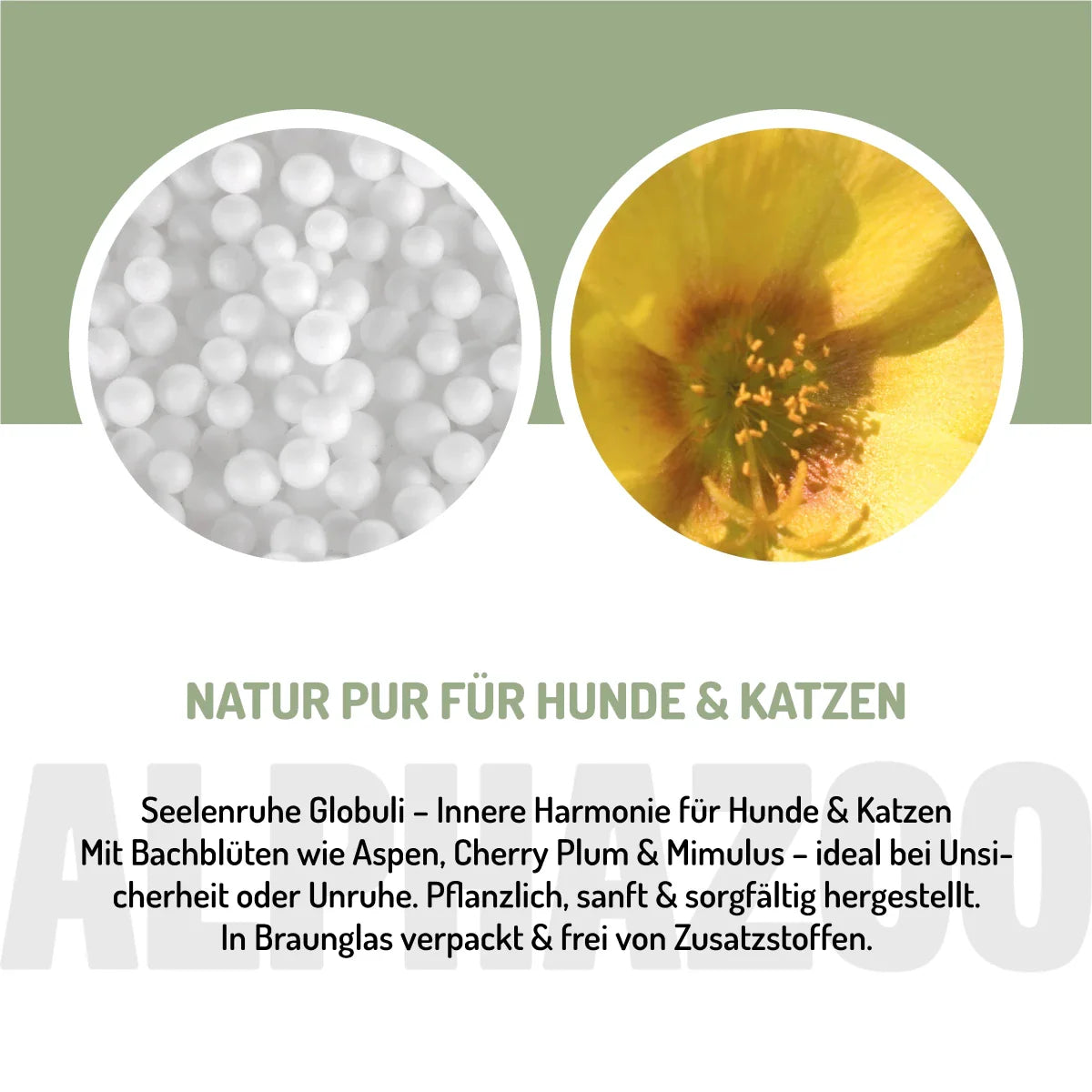 Seelenruhe Bachblüten