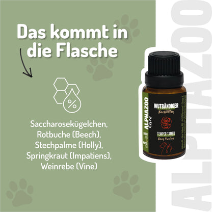 Wutbändiger Bachblüten